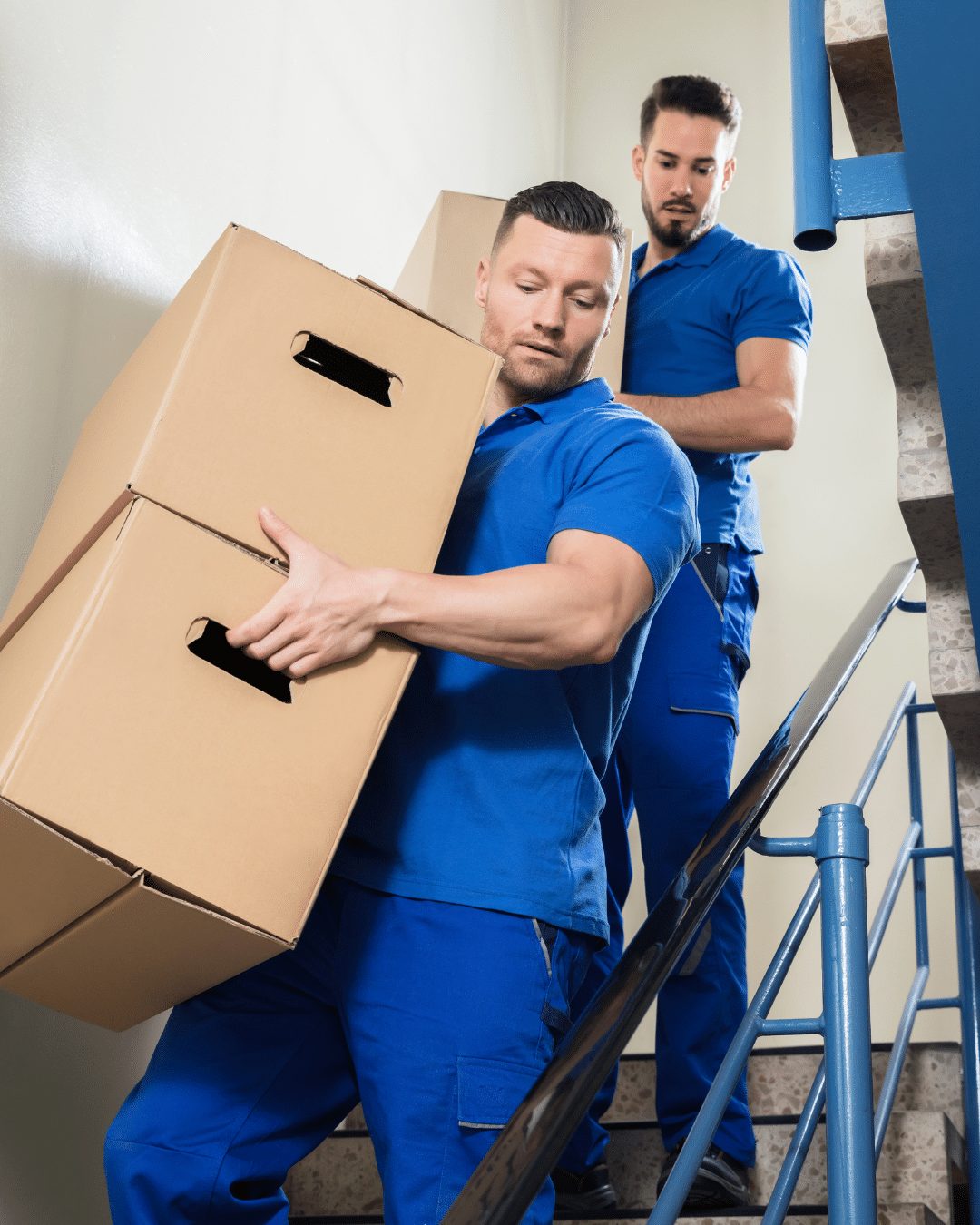 Office Relocation in Fort Collins CO