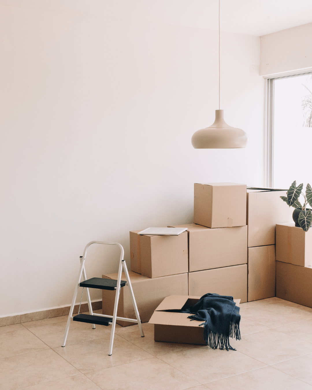 Apartment Moving Fort Collins CO