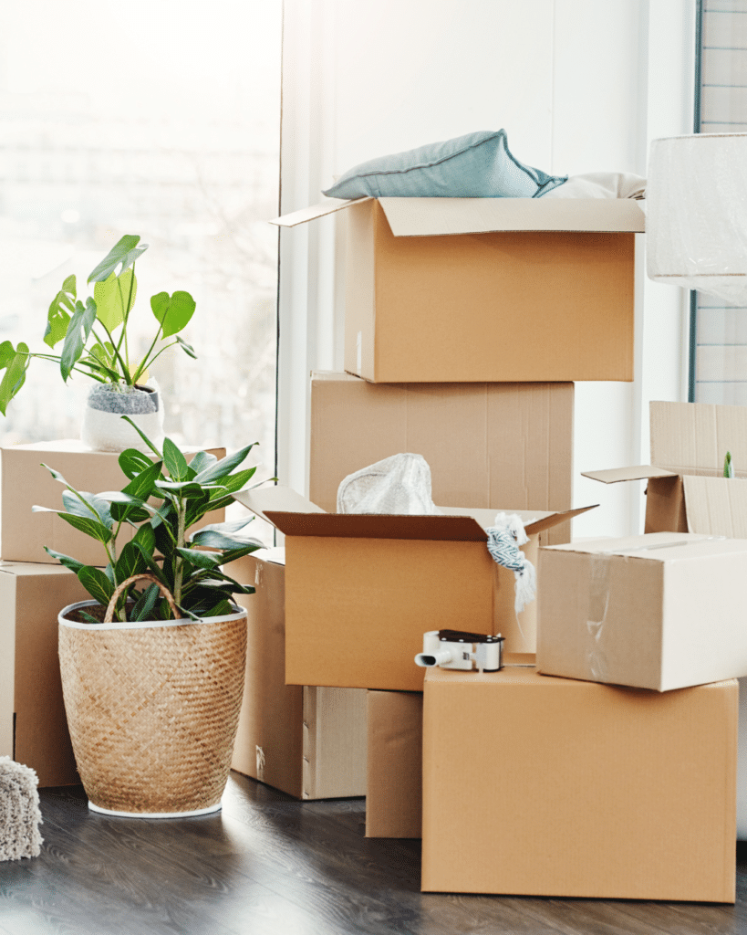 Apartment Movers Fort Collins CO